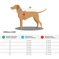Hunter Pet Uppsala Cozy Koiran Takki
