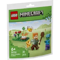 LEGO Minecraft Alexin nuotioseikkailu 30732