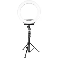 Dacota Platinum rengasvalo jalustalla 19"