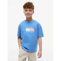 Tommy Hilfiger Paita 'Flag Graffiti' sininen / melooni / valkoinen