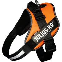 Julius-K9 Idc Power Koiran Valjaat
