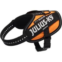 Julius-K9 Idc Power Baby Koiran Valjaat