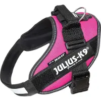 JULIUS K-9 Idc Power Koiran Valjaat