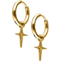 Wildcat Mini Polar Star Hoops Pair - Gold