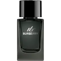 Burberry Mr. , EdP 100ml