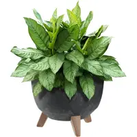 Kadax Musta kukkaruukku 29cm sisäkkeellä ja jaloilla