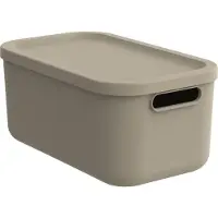 Rotho Chicoree ja cappuccino LAATIKKO 12L ALBULA CAPPUCCINO