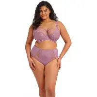 Elomi Brianna - Purple - 85 I