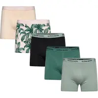 Björn Borg Cotton Stretch Boxers 5-pack