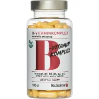 BioSalma B-Vitaminkomplex 100 kapselia