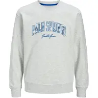 Jack & Jones Jjdetroit Sweat Crew Neck - Grey - L