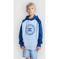 Dc-shoes Corpo Raglan Kids Huppari blue fog Koko T16