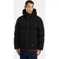 Dickies Men's Eagleville Hooded Puffer Black Untuvatakit lämminvuoratut L