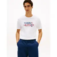 Tommy Hilfiger Paita laivastonsininen / punainen / valkoinen