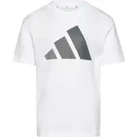Adidas Essentials Graphic Lyhythihainen T-paita