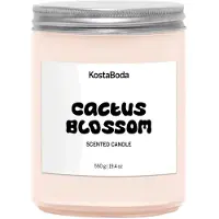 Kosta Boda Mind tuoksukynttilä Cactus Blossom, 550 g