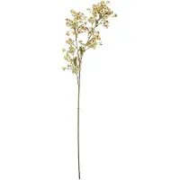 Bloomingville Waxflower Stem - White - H91CM