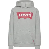 Levi's Screenprint Batwing Pullover Hoodie - Grey - 98