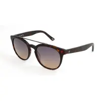 WEB EYEWEAR Aurinkolasit WE0146 52/19/140 Havana asetaatti UNISEX WE0146