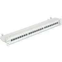DeLOCK 43319, RJ-45, Cat6a, Telinekiinnitys, 1U, Harmaa, Metalli