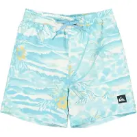 Quiksilver Everyday Printed Volley Yth 14 - Multi/patterned - 164