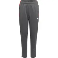 Puma Individualliga Training Pants Jr - Grey - 176