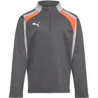 Puma Individualliga 1/4 Zip Top Jr - Grey - 116