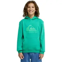 Quiksilver Comp Logo Hoodie Youth - Green - 164