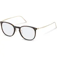 Rodenstock R7136 Pantos Silmälasit