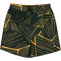 Quiksilver Everyday Printed Volley Yth 14 - Khaki green - 140