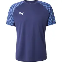 Puma Toiminnallinen paita 'TeamLiga26' laivastonsininen / safiiri / valkoinen