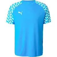 Puma Toiminnallinen paita 'TeamLiga26' taivaansininen / valkoinen