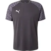 Puma Toiminnallinen paita 'TeamLIGA26' vaaleanharmaa / musta / valkoinen
