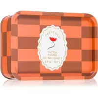 PADDYWAX A Dopo Flower tuoksukynttilä 184 g