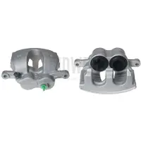 BUDWEG CALIPER Jarrusatula 345756