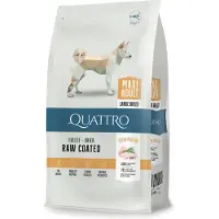 Quattro Maxi Adult siipikarjan kuivarehulla suurille rotuille, 3 kg