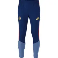 Adidas Urheiluhousut 'FC Bayern München 26/27' opaali / tummansininen / kulta / tulenpunainen