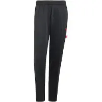 Adidas Arsenal X P+F Track Pants - Musta - , koko X-Small