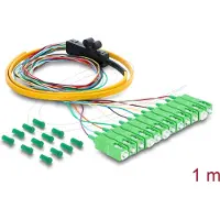 DeLOCK 91047, 1 m, 12x LC, Pigtail