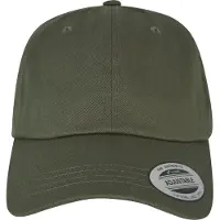 Flexfit Low Profile Cotton Twill Lippis