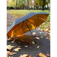 SUCK UK Black & Gold Umbrella - Black - ONE SIZE