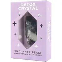 Gift Republic Crystal Healing Kit Detox - Purple - ONE SIZE