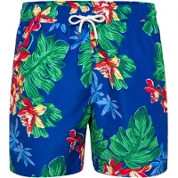 Ralph Lauren 5.75-Inch Traveler Classic Swim Trunk - Blue - L