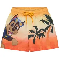 Ryhmä Hau Swimwear - Multi/patterned - 116