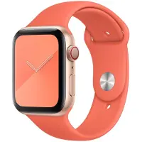 Apple Watch 40mm Sport Band Clementine - S/M