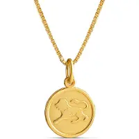 Top Gold kullattu hopeinen Leijona horoskooppi riipus ketjulla 45cm 52 5708 0000