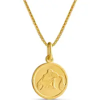 Top Gold kullattu hopeinen Vesimies horoskooppi riipus ketjulla 45cm 52 5702 0000