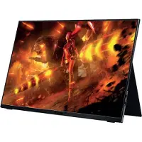 Nilox - 16,1” PORTABLE GAMING FULLHD/120HZ (NXMP16FHD1201)