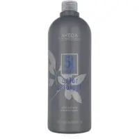 Aveda Color Catalyst Liquid Developer