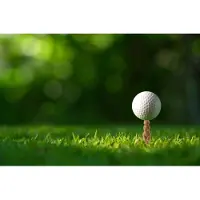 Kikkerland Gopher Golf Tee S - 6 pcs